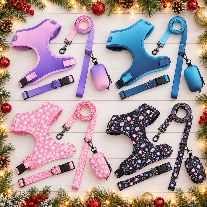 Harness set in four prints