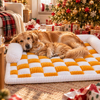 Golden retriever and cat sharing an XL checkerboard sofa bed on Christmas morning