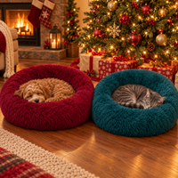Puppy in a wine red bed and cat in a deep teal bed beside a Christmas tree
