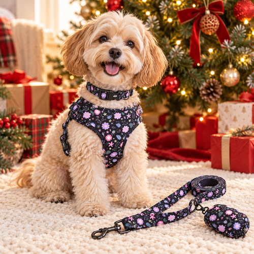 Dog wearing the midnight floral harness and collar by a Christmas tree with matching leash and poop-bag holder
