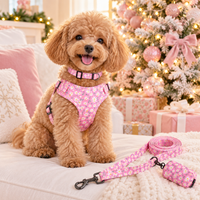 Toy poodle wearing the pink daisy harness set