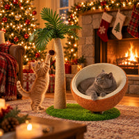 Kitten batting the pom-pom while a British Shorthair lounges in the coconut bed by the fireplace