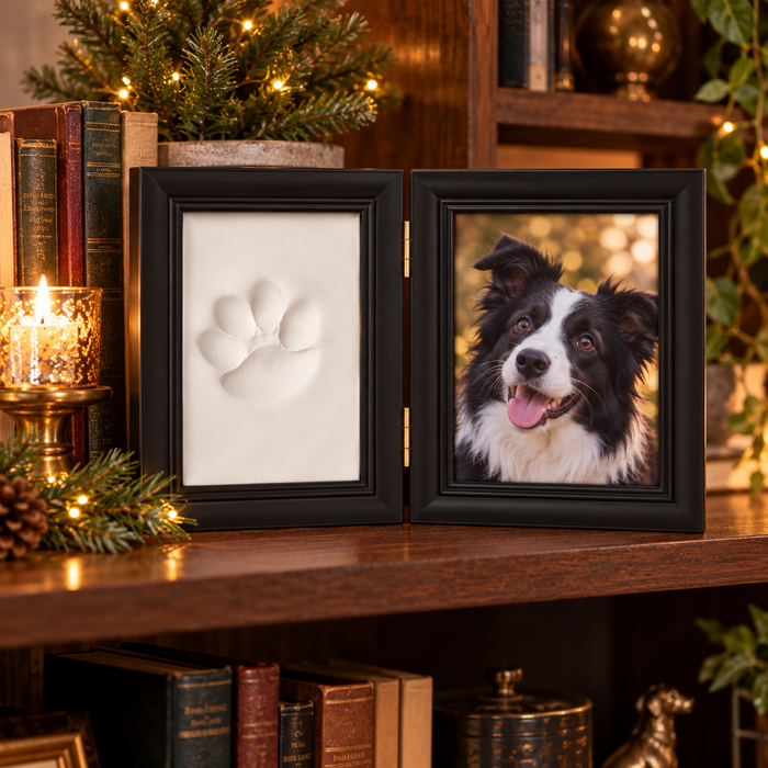 Black frame with a border collie photo and paw print on a bookshelf