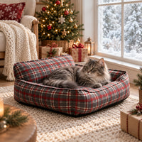 Fluffy tabby cat lounging in the plaid pet bed next to a snowy window